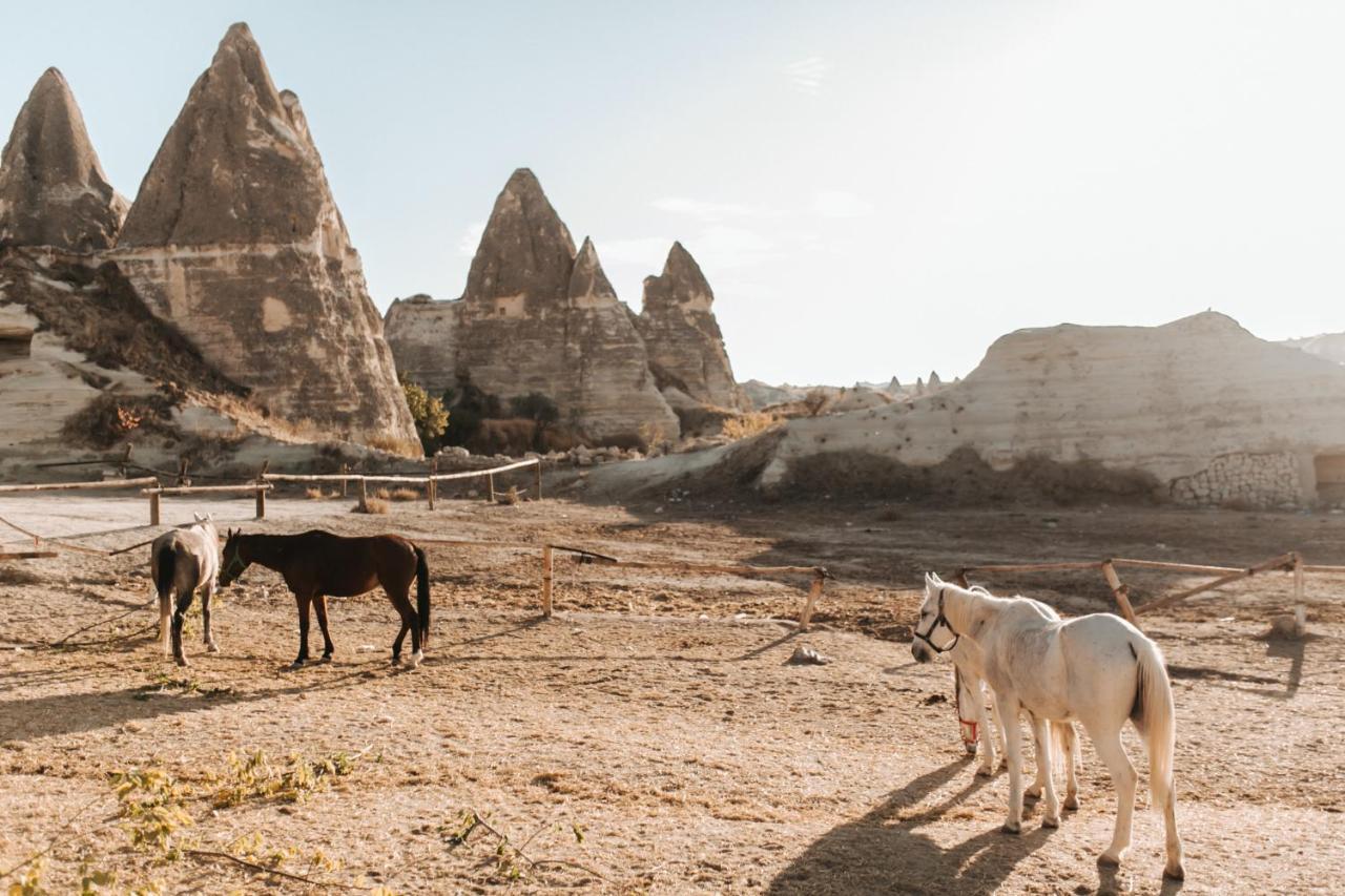 Sandik Cave Suites Nevşehir Buitenkant foto