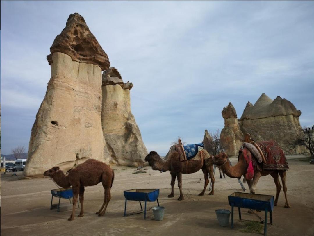 Sandik Cave Suites Nevşehir Buitenkant foto